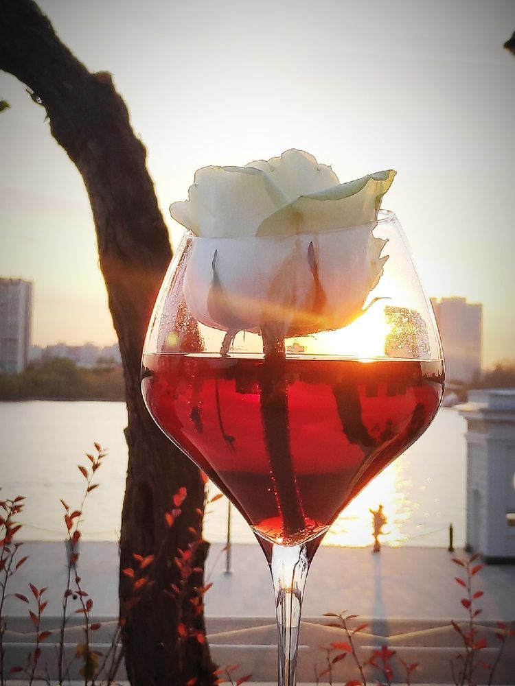 Photograph by Ольга Рыкова