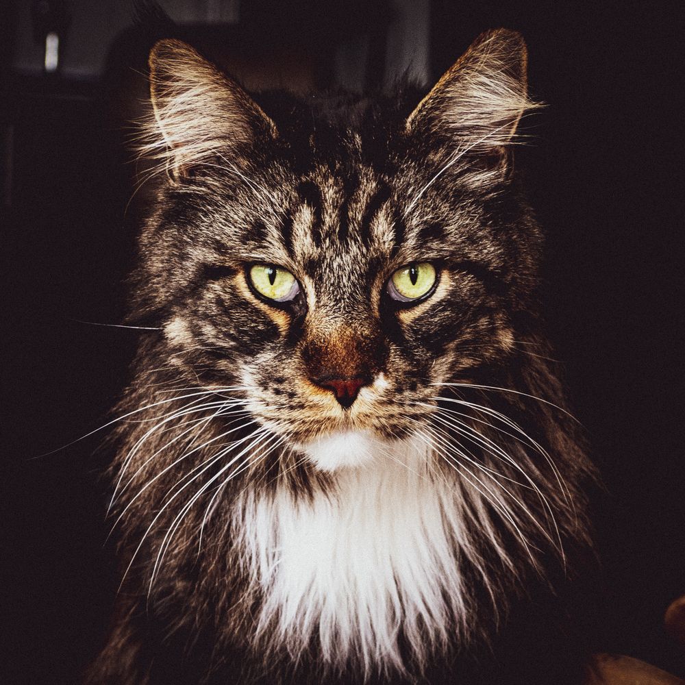 Photograph by Olga Bakke