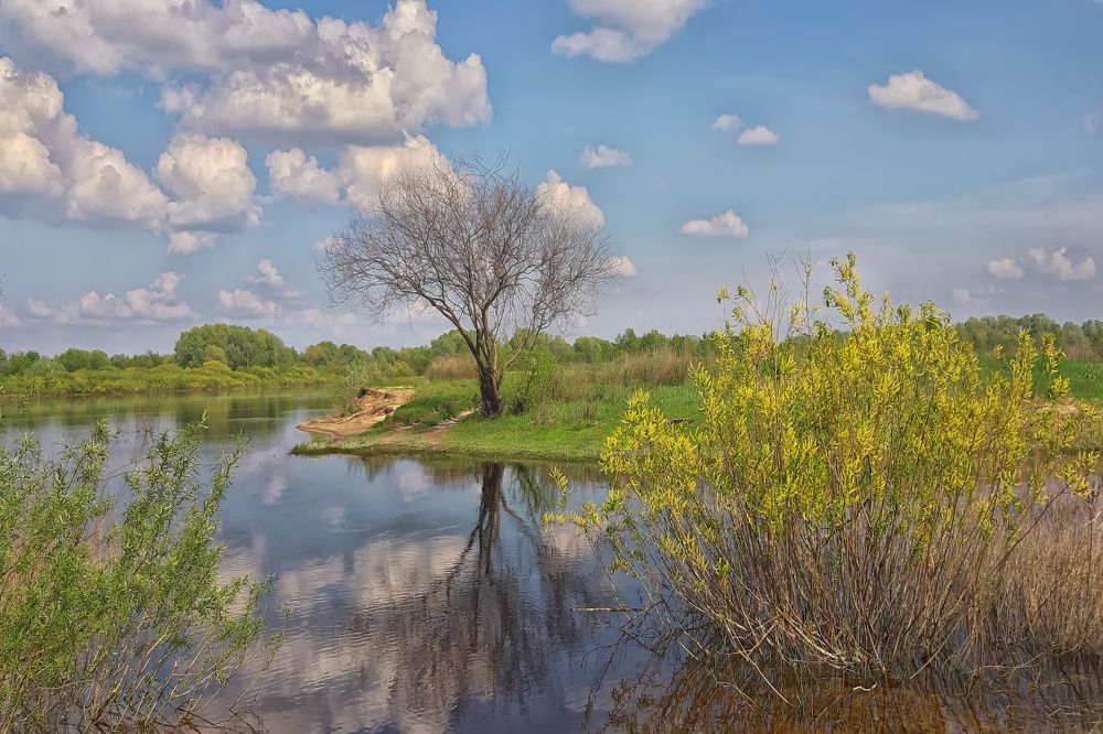 Photograph by Василий Королёв