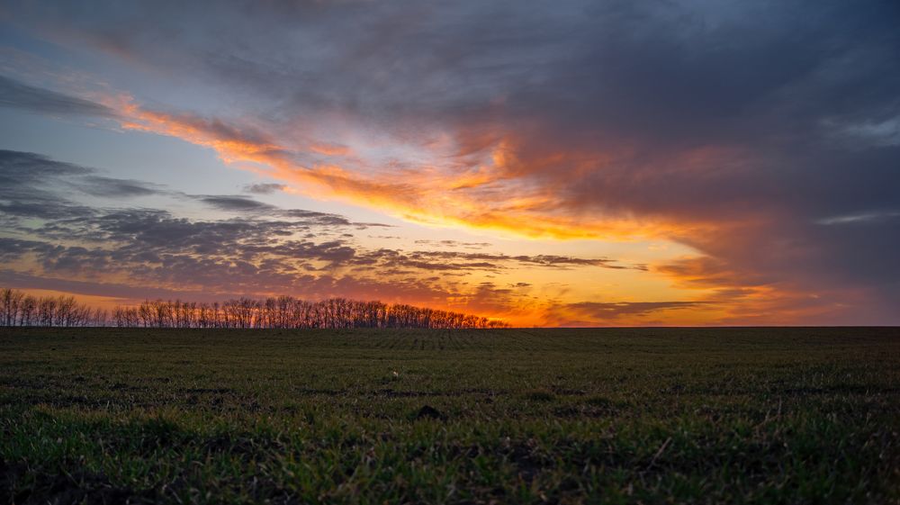 Photograph by Даниэль Чашкин