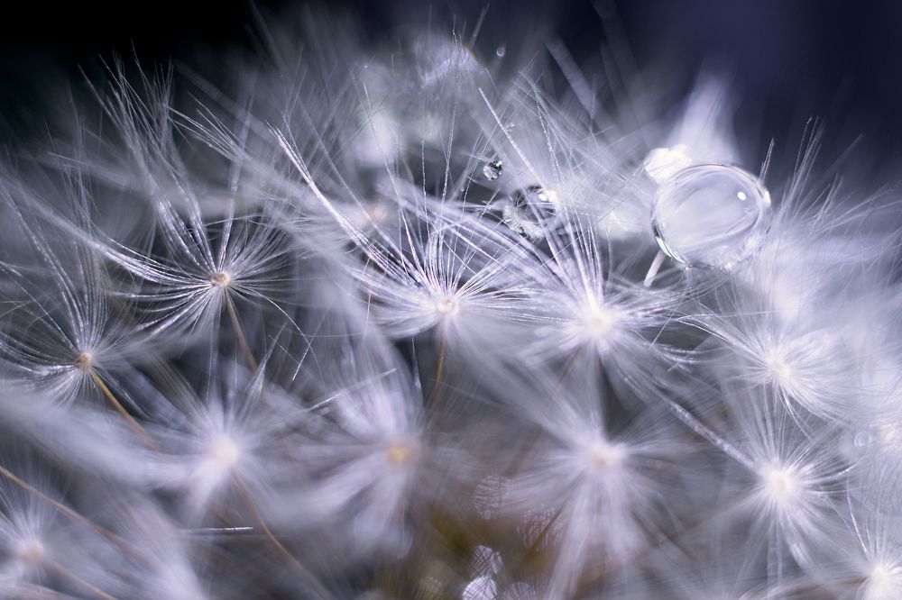 Photograph by Tomasz Szczesny