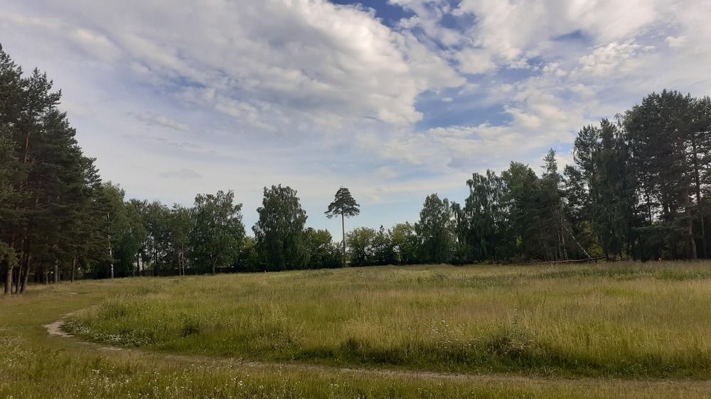 Photograph by Елена Лещева