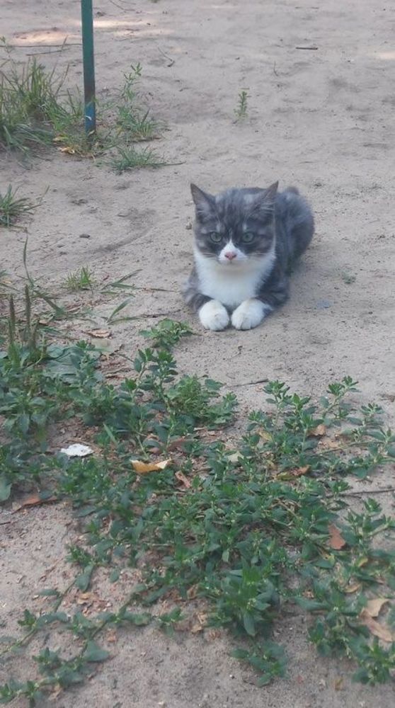 Photograph by Елена Лещева