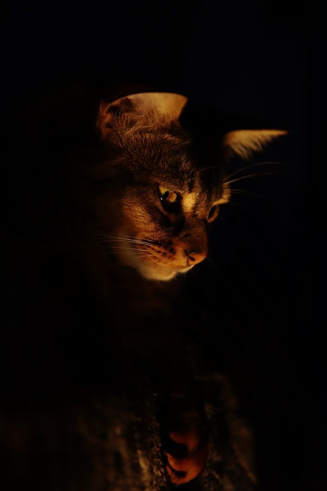 Фотография автора Валерия Витте