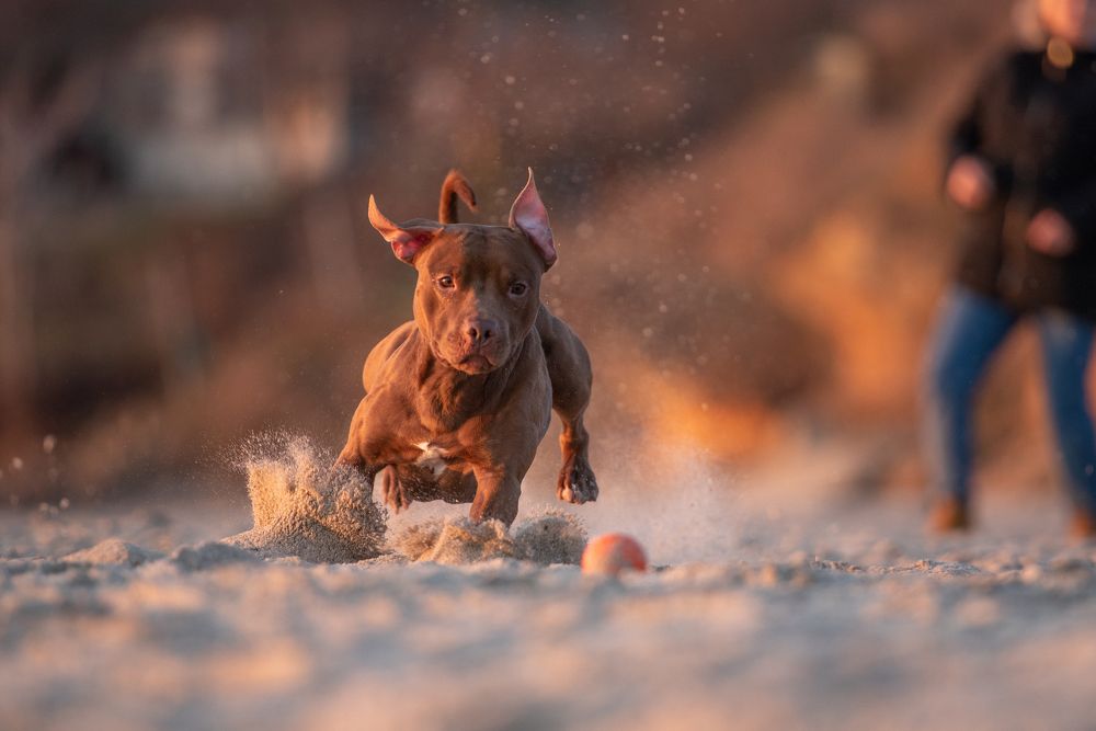 Photograph by Виола Поликарпова