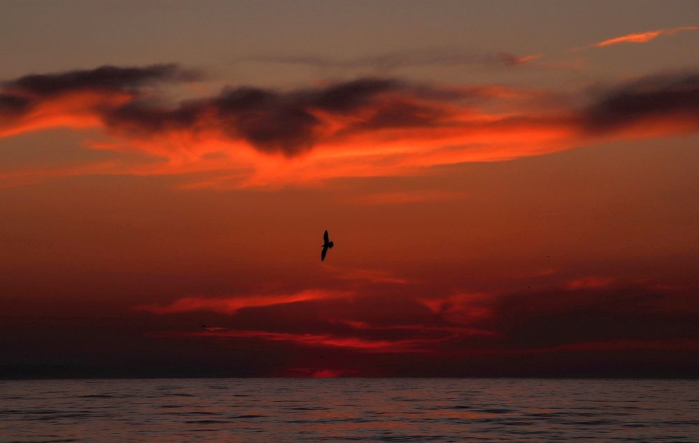 Photograph by Olga Asson