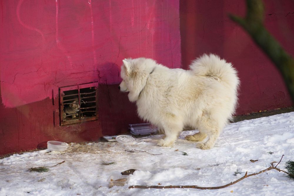 Photograph by Елена Никонова