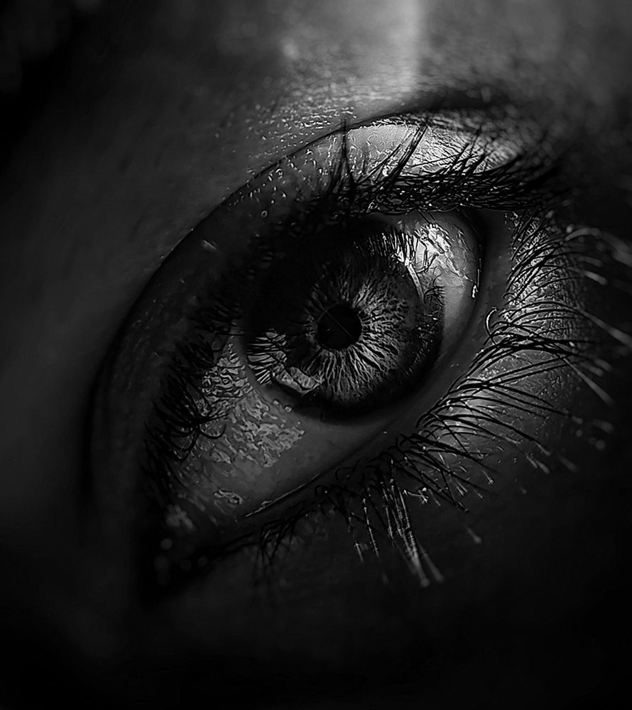 Photograph by Negin Khorsandi