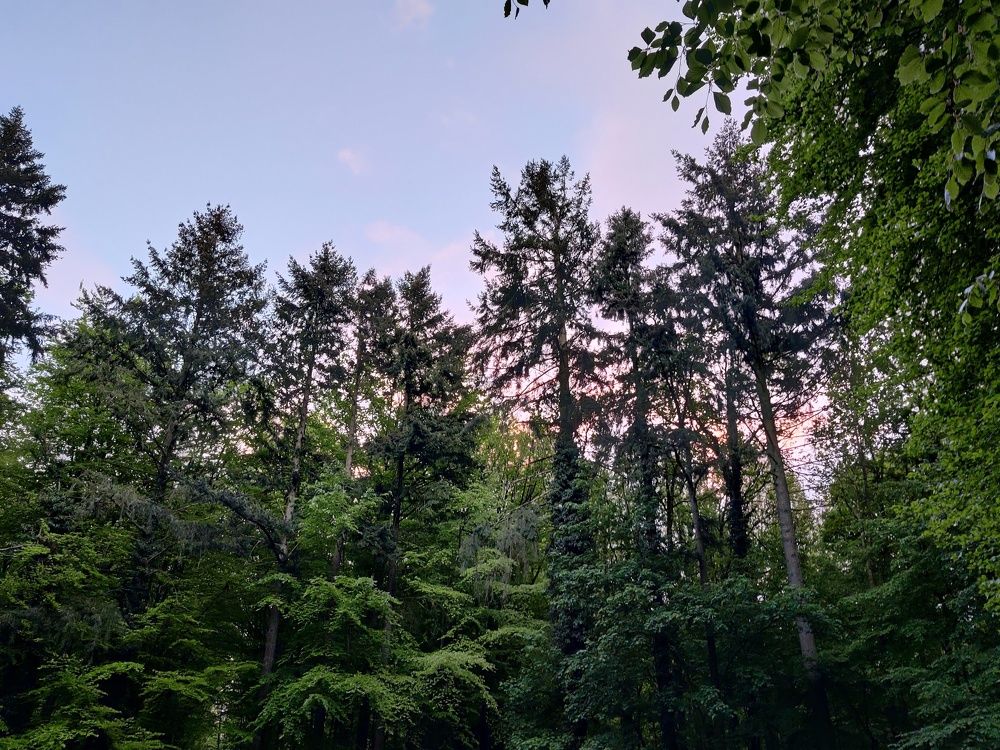Photo #6105175