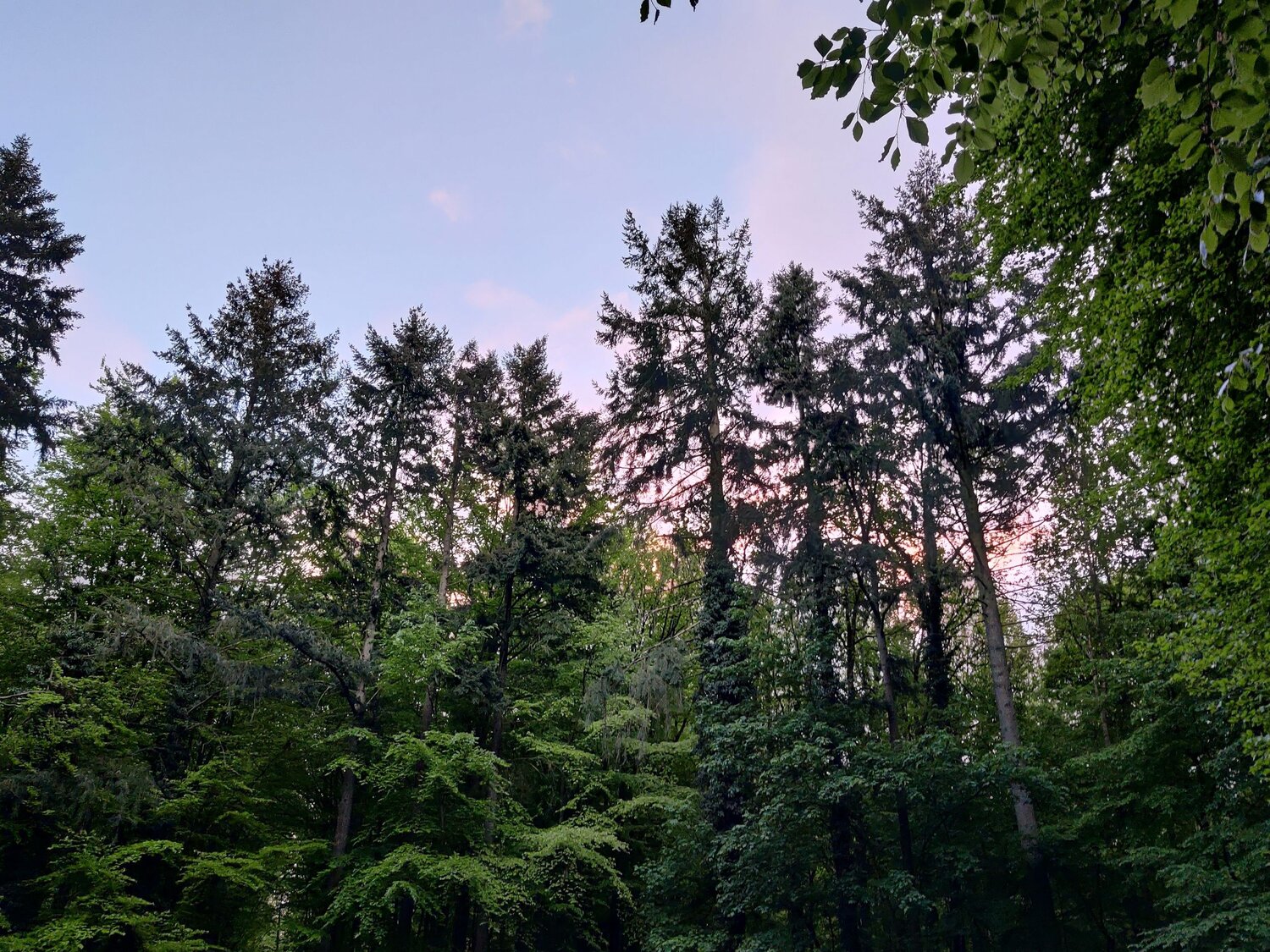 Photo #6105175