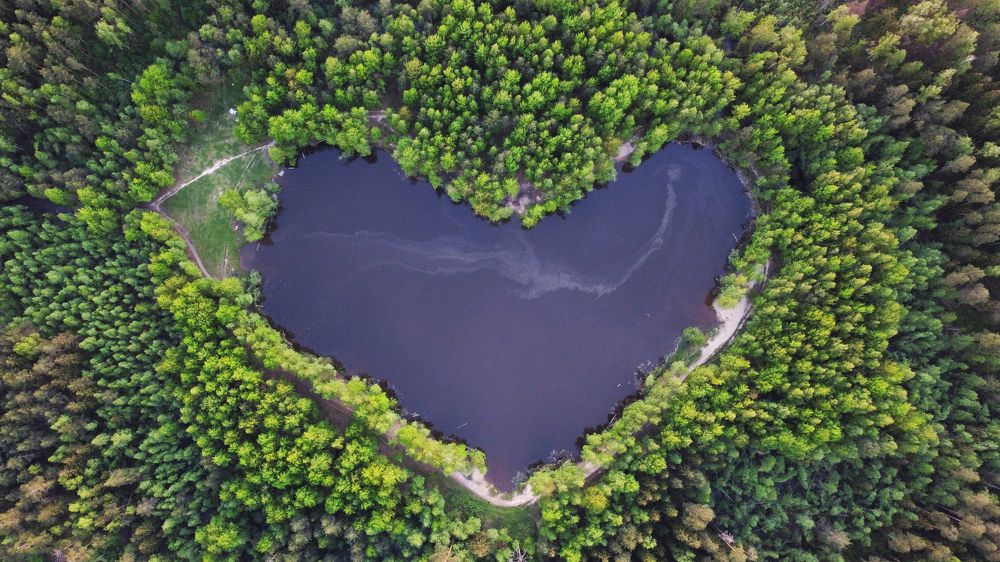 Фотография автора Коротков Алексей