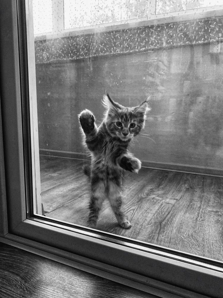 Photograph by Юлия Чиклеева