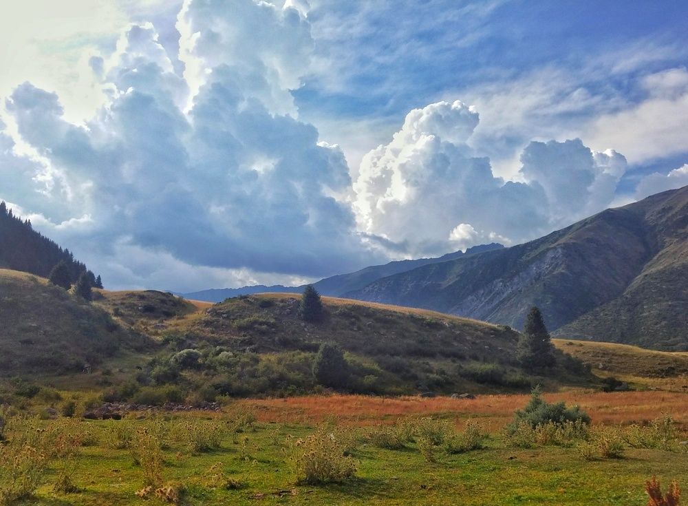 Photograph by Орынбек Асилбаев