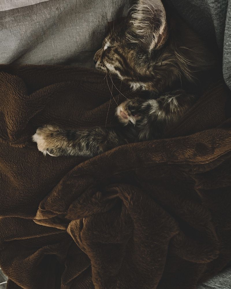 Photograph by Юлия Чиклеева