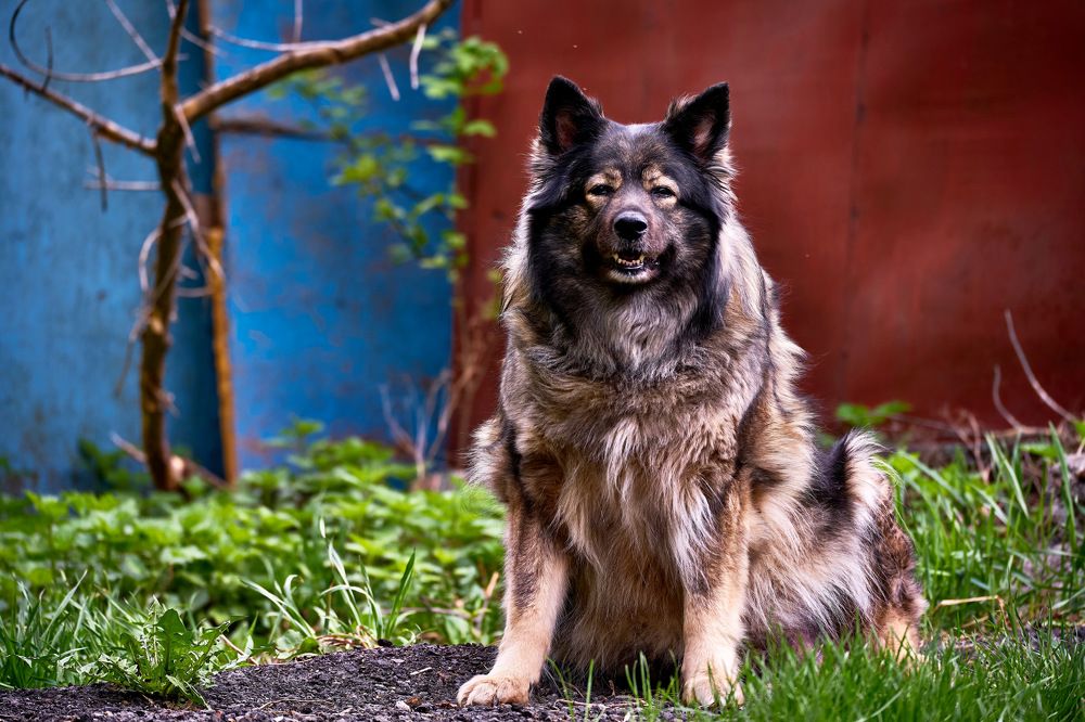 Photograph by Yuliya Khramova