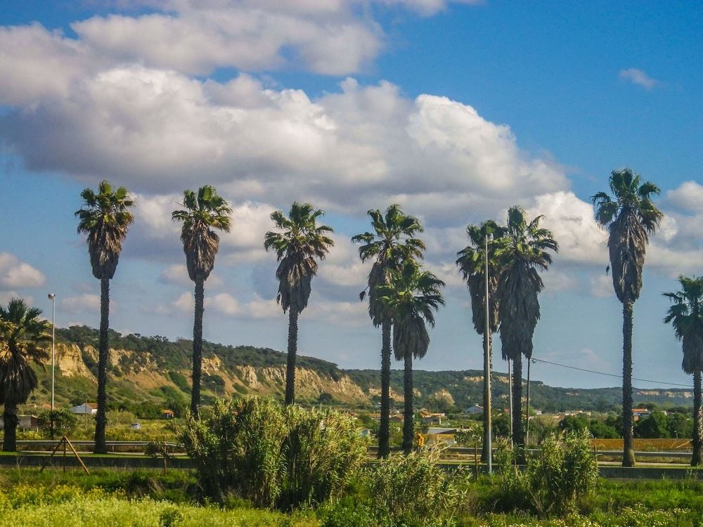 Photograph by Maria Teresa Teixeira de Sousa