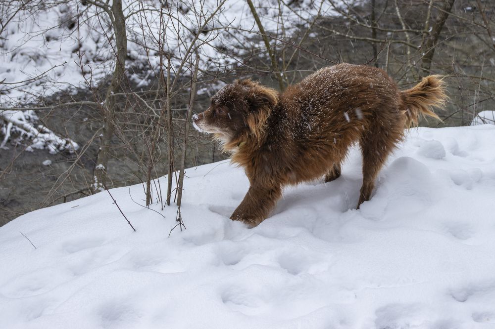 Photograph by Олег Башкуров