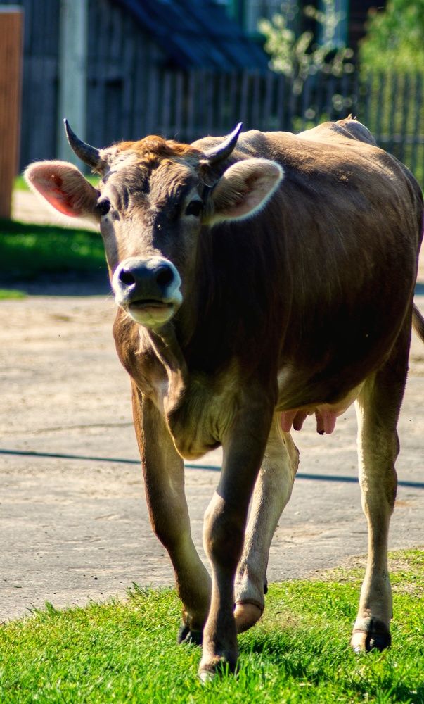Photograph by Евгений Калагаев