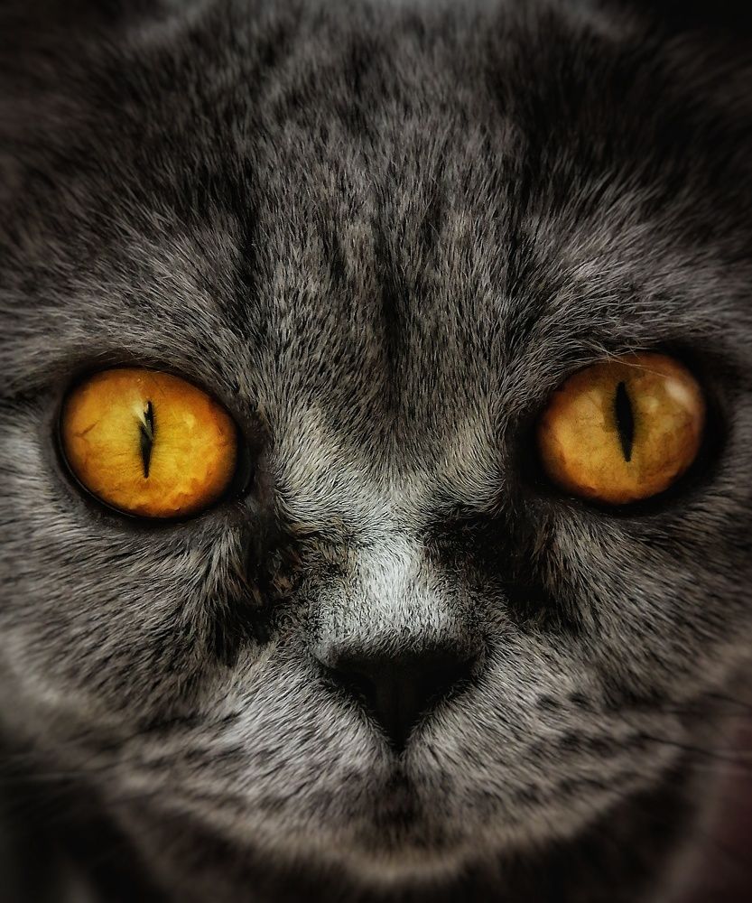 Photograph by Андрей Мелета