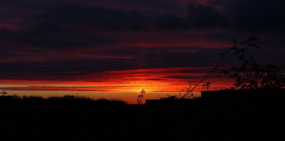 Photograph by Red Pashechka