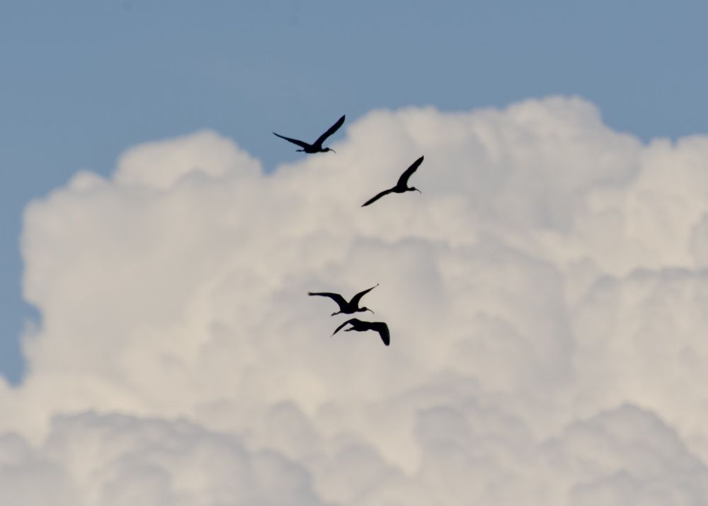 Photograph by advokatkijashko