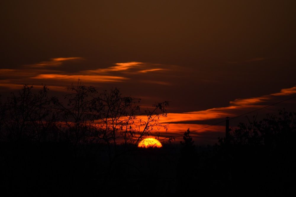 Фотография автора Алексей Боровик