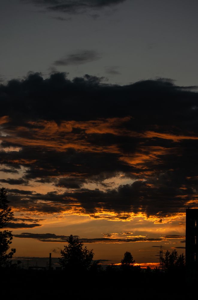 Фотография автора Алексей Боровик