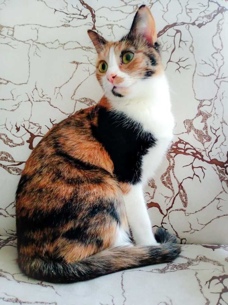 Photograph by Ольга Посадская