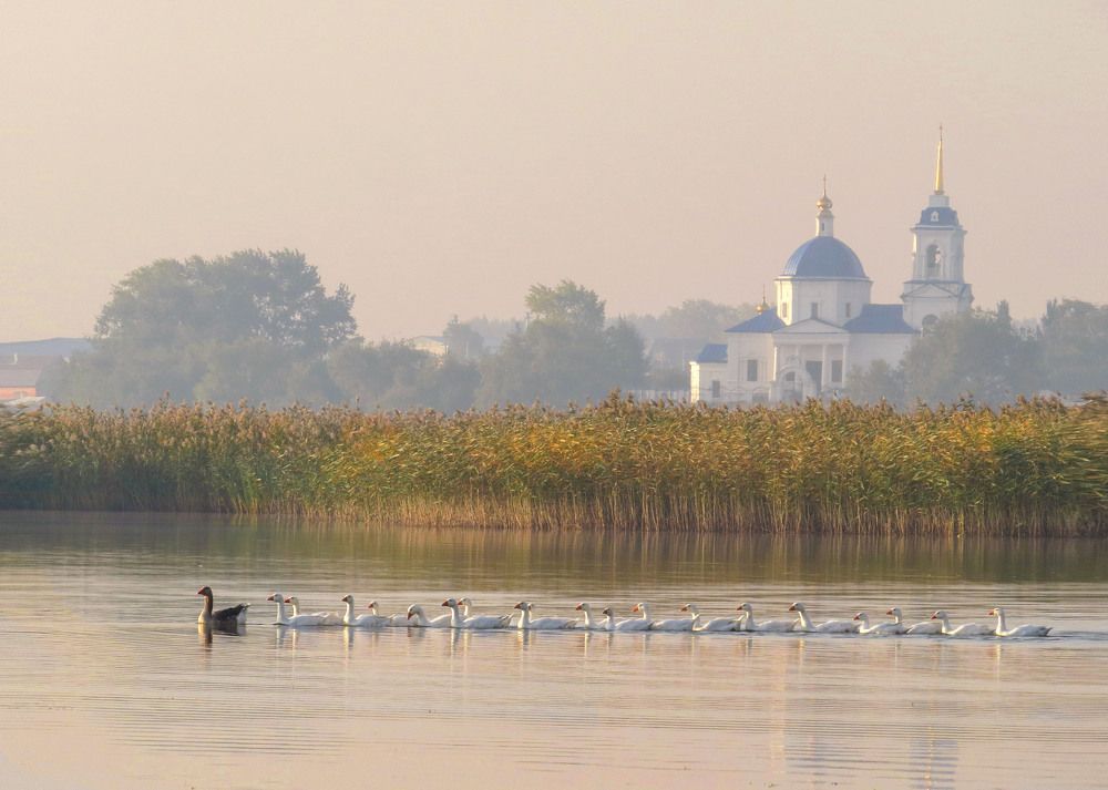 Photograph by Нина Будникова