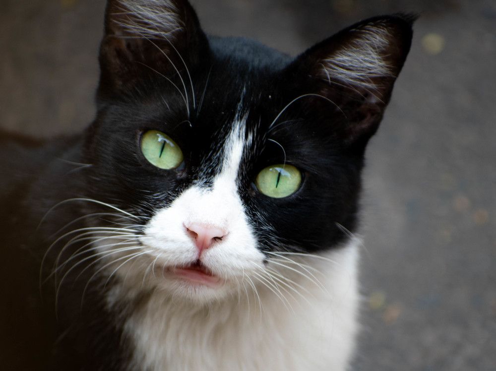 Not expecting taking a shot