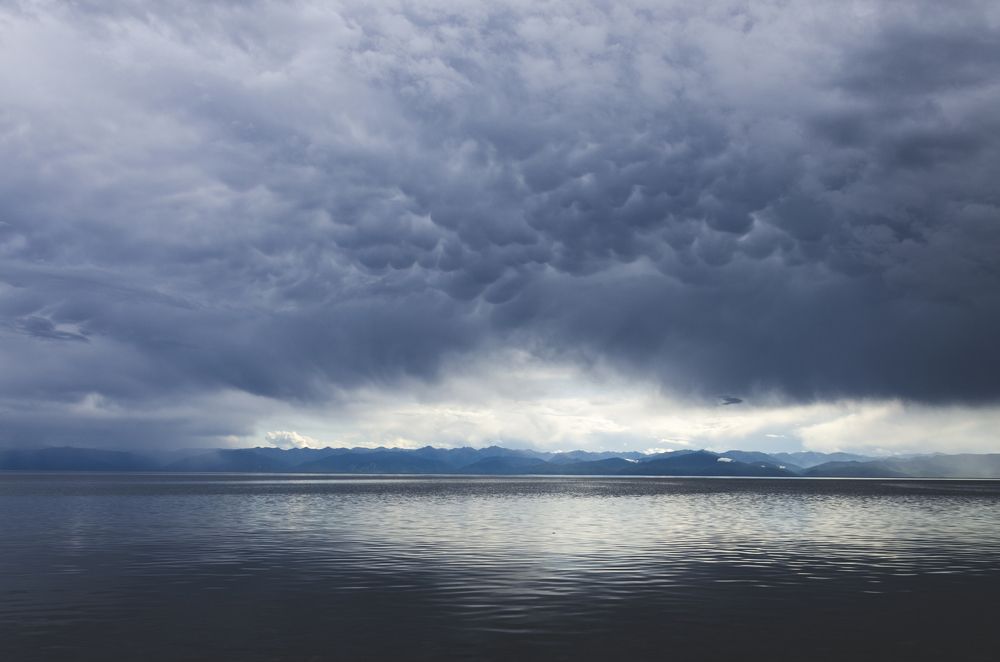 Фотография автора Тимофей Трямкин