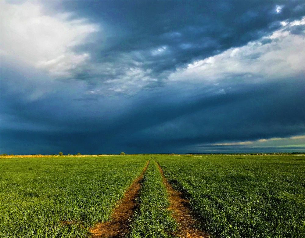 Дорога в небо