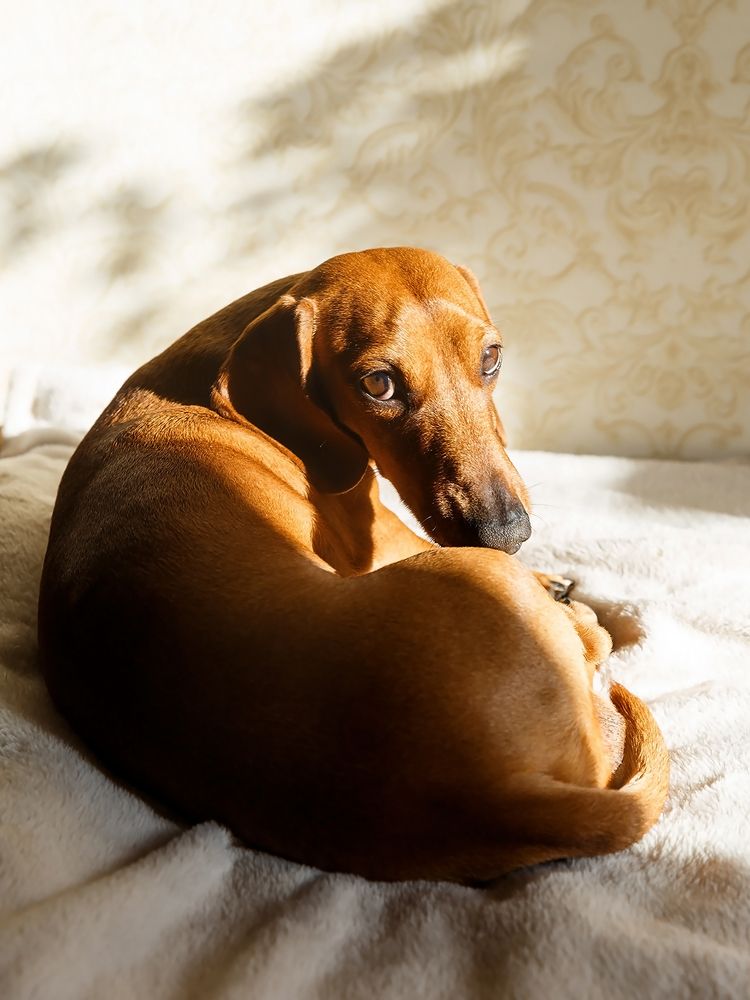 Photograph by Виктория