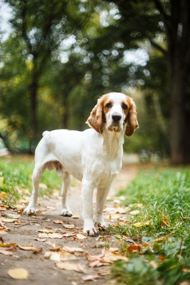 Photograph by Виктория