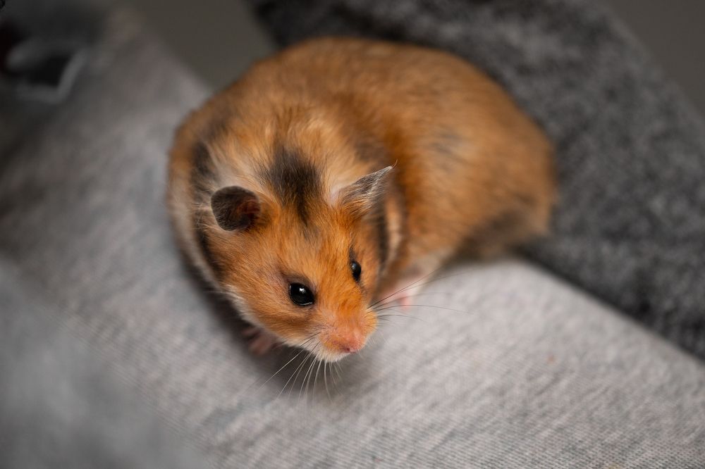 Photograph by Tamara Klimenko