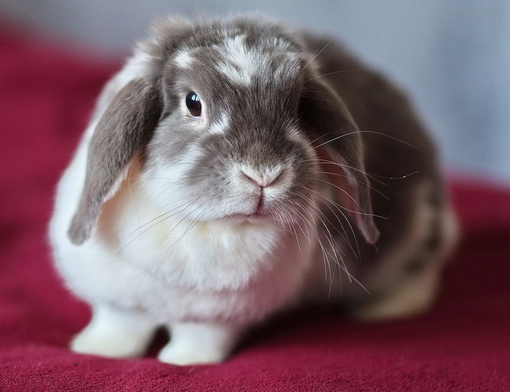 Photograph by Лидия Ушакова