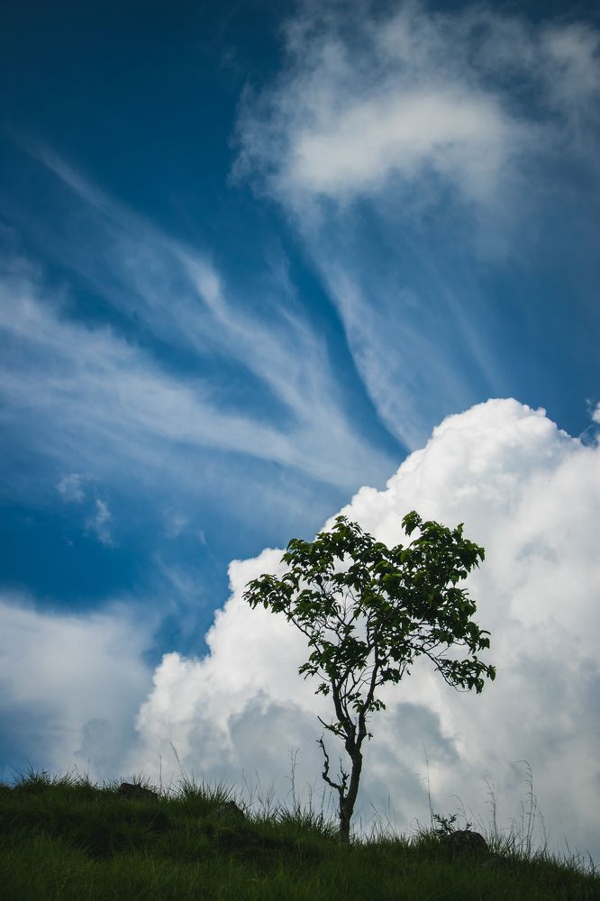 Photograph by Bijesh Shrestha