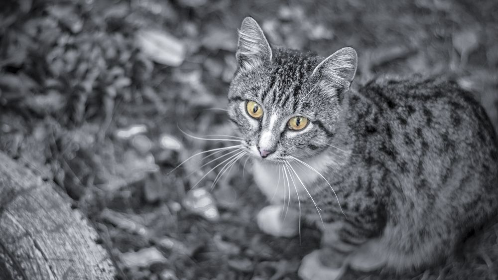 Photograph by Егор Синицын