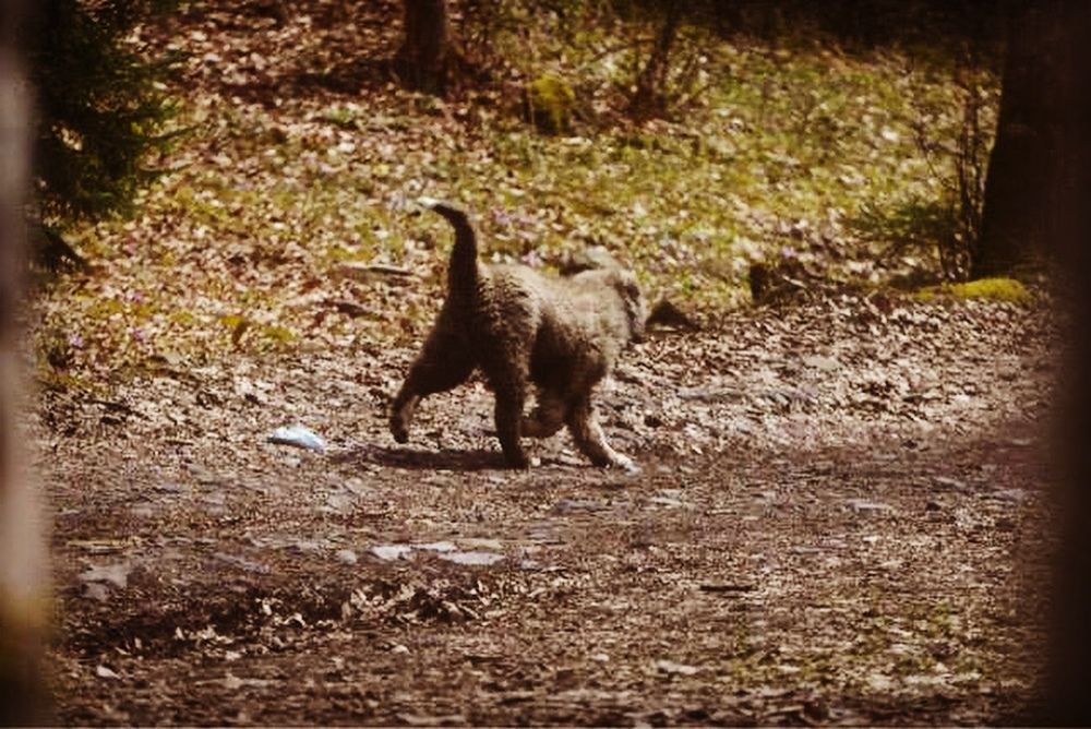 Photograph by Davit Medzmariashvili