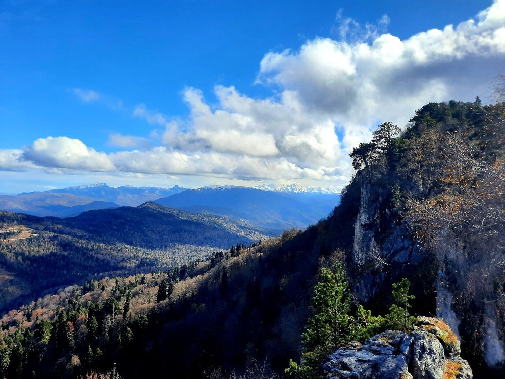 Photograph by Дмитрий Черкашин