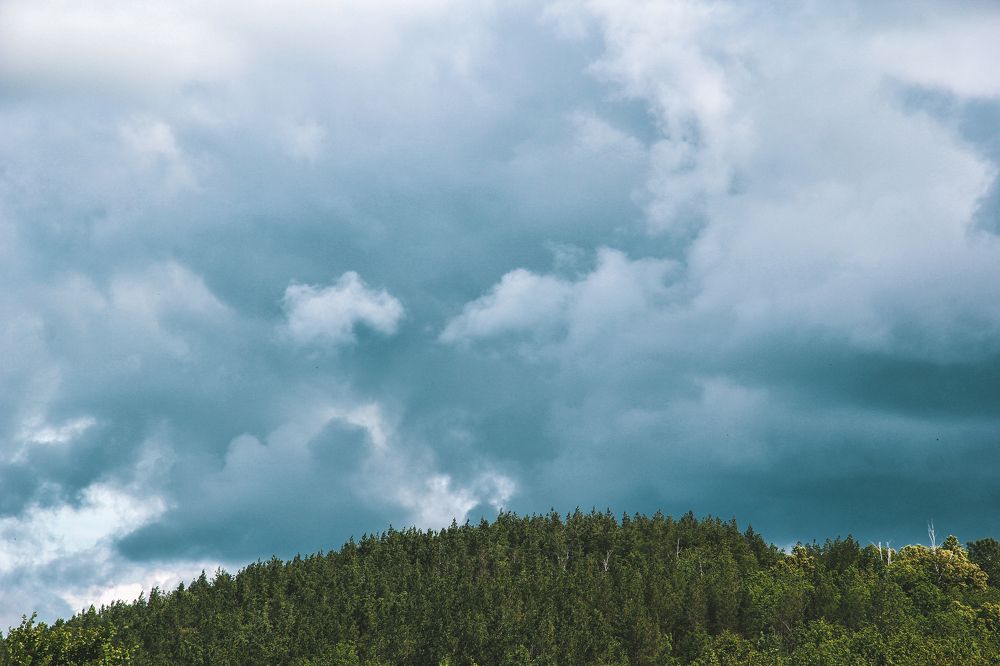 Photograph by Александр Малютин