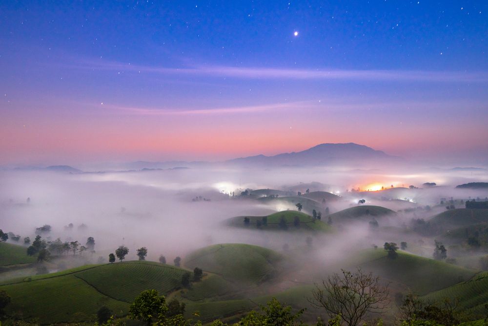 Long Coc tea hill in the early morning.