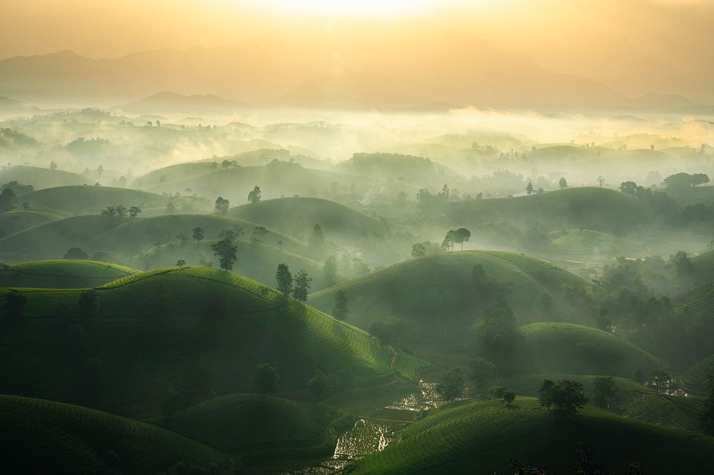 The harmonious blend of fog and clouds on Long Coc tea hill