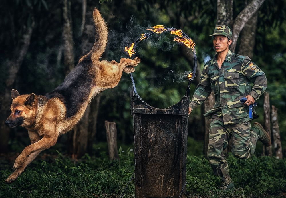 Photograph by Truyen HUYNH VAN