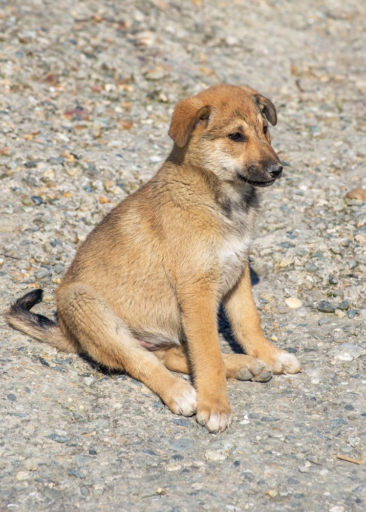 Photograph by Роман Приходько