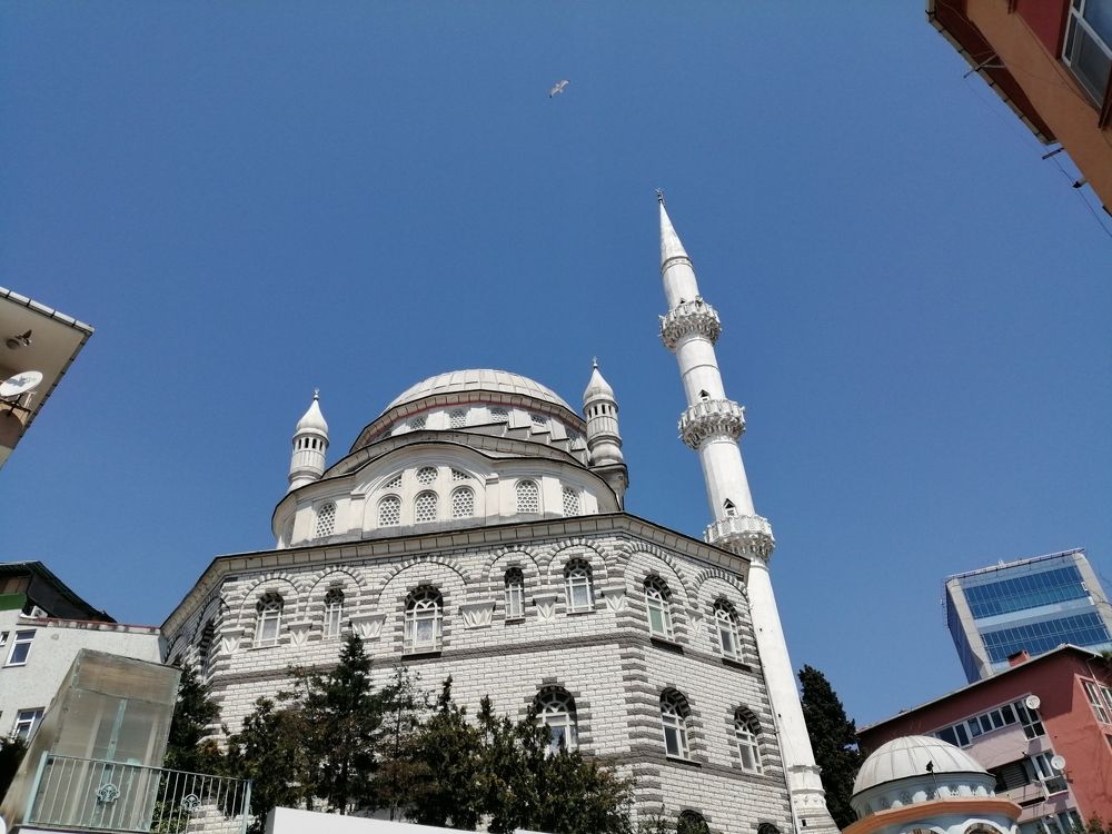 Фотография автора Bahaaddin Saber