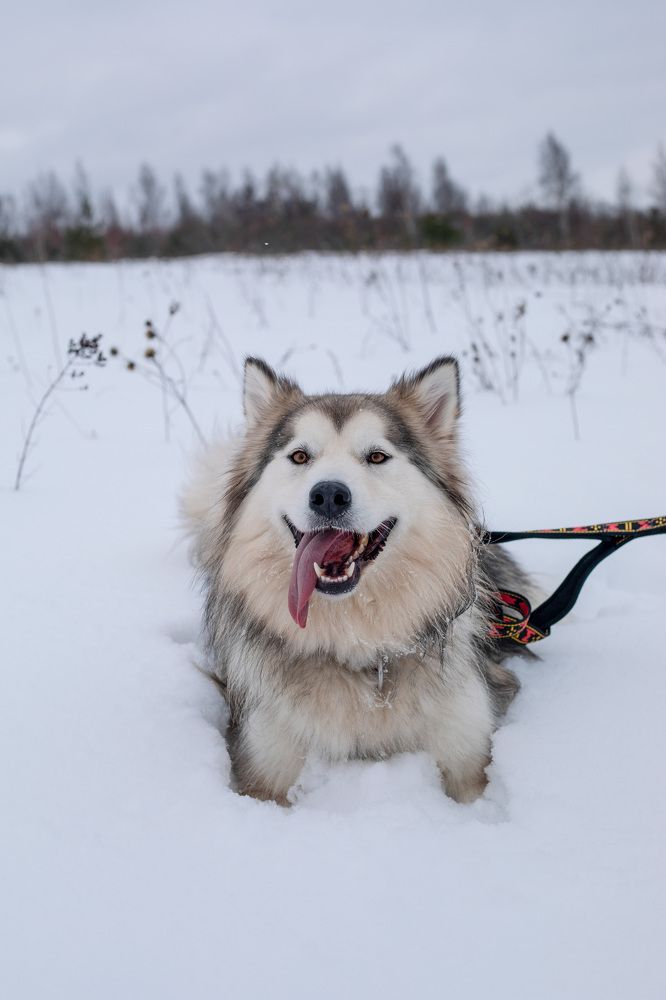 Photograph by EKATERINA ANDREEVA