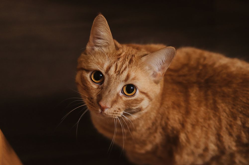 Photograph by EKATERINA ANDREEVA