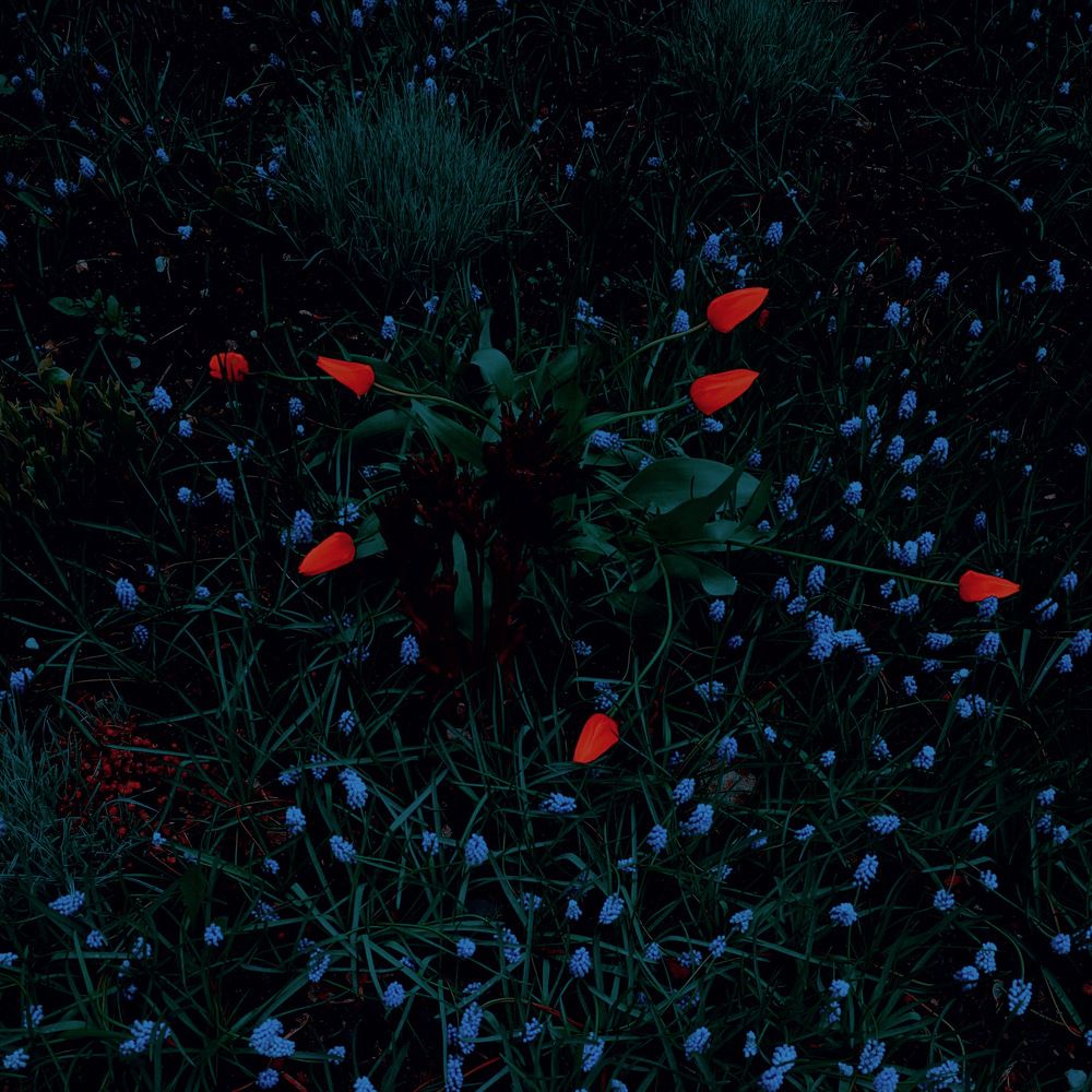 Photograph by Станислав Ситников