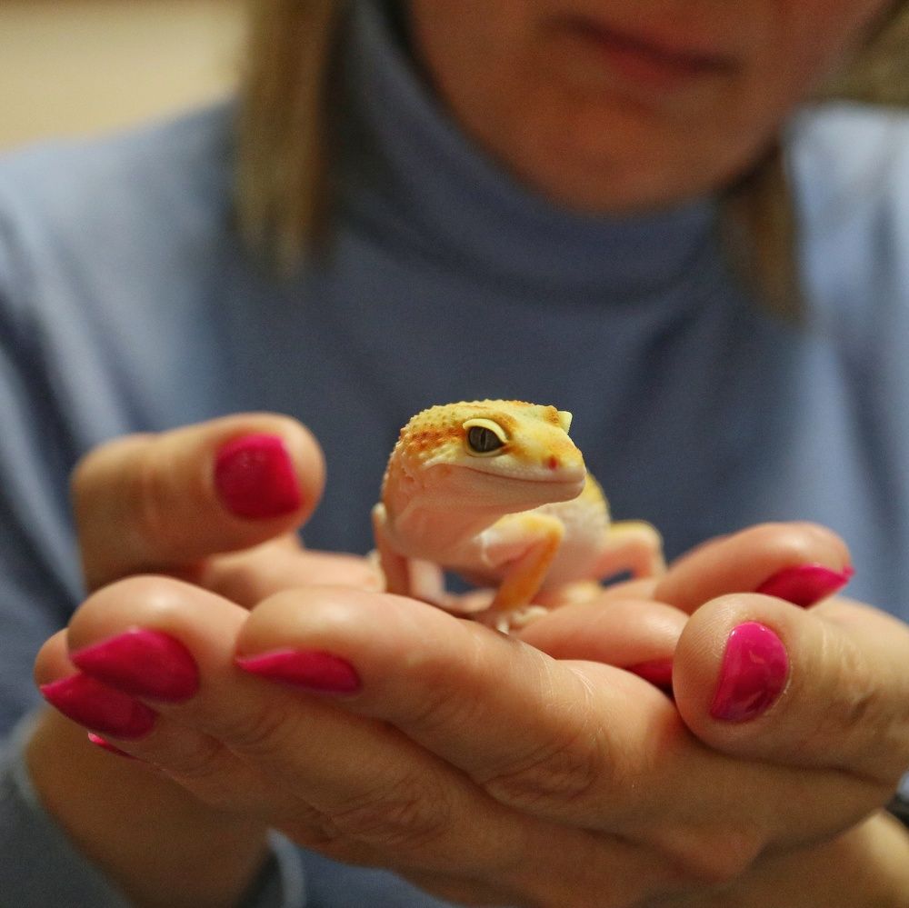 Photograph by Ирина Корабельникова